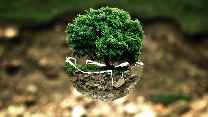 Ecoguardianes que cuidan la vida silvestre (II)
