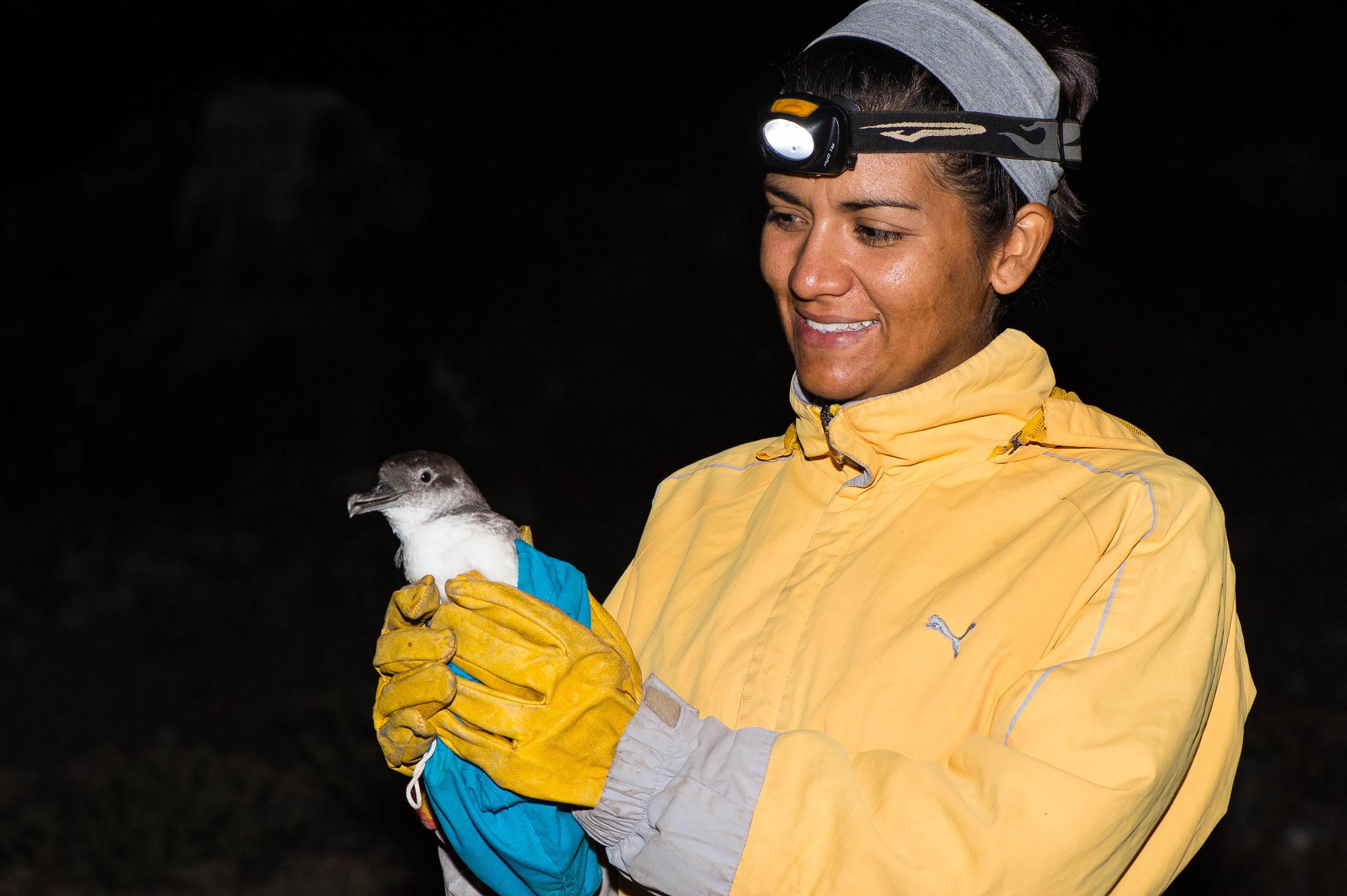 La Mexicana Yuliana Bedolla gana el Premio Whitley 2023 para proteger sitios de anidación de aves marinas en peligro